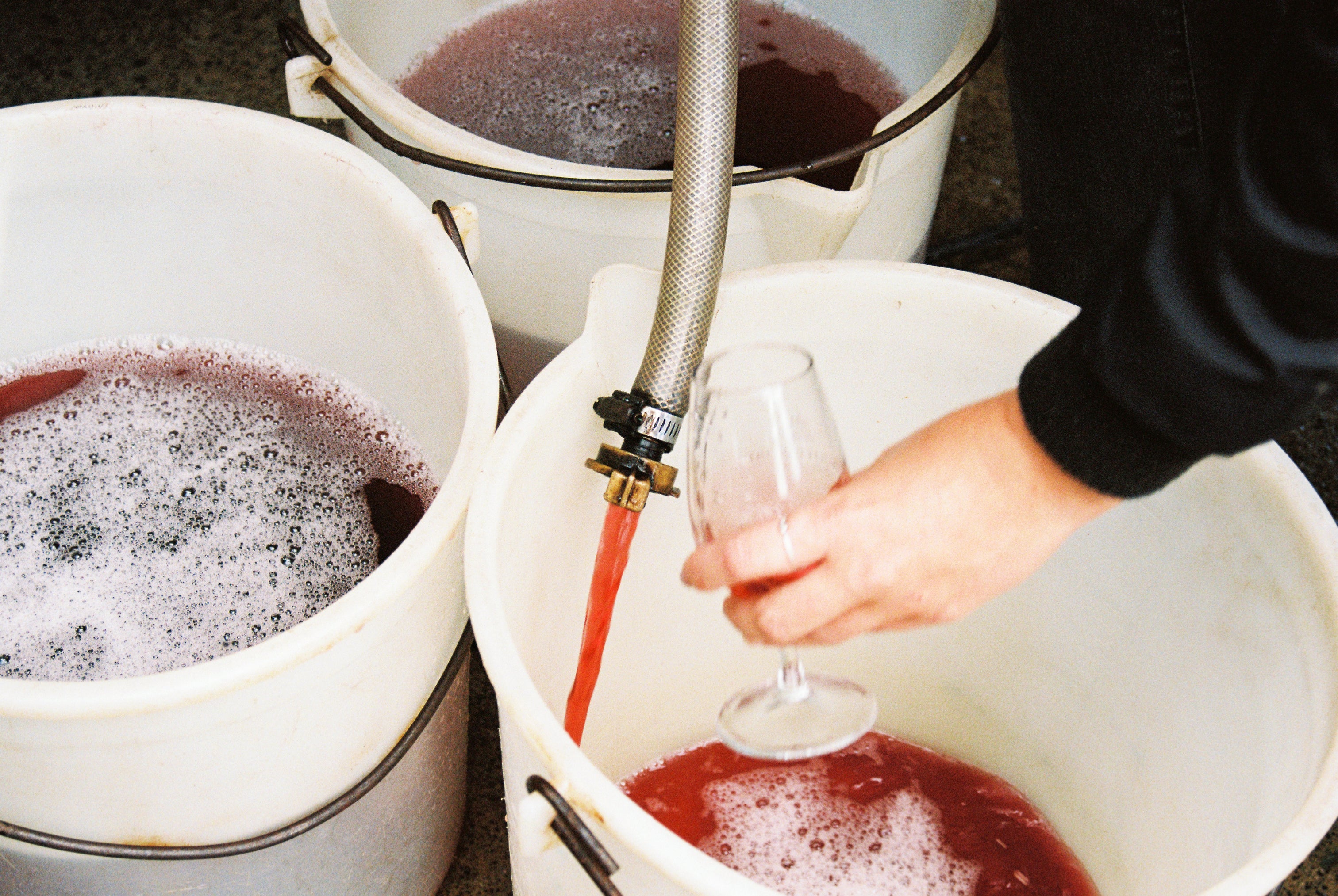New Theory – Low-intervention wine from South Africa. | drinknewtheory.com